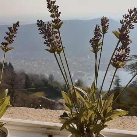 La Terrazza Sul Lago 펜션 브루나테